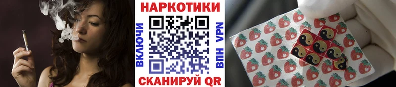 Псилоцибиновые грибы Мезень