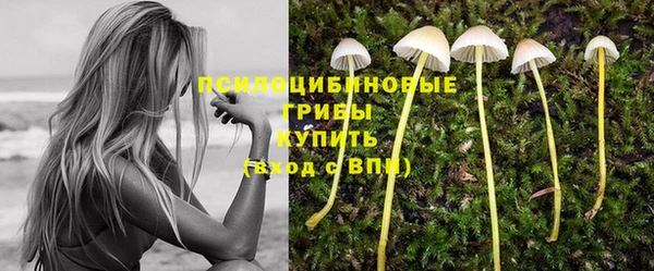 ешки Белокуриха