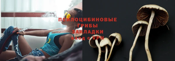 ешки Белокуриха