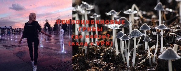 соль ск Белоозёрский