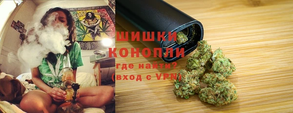 ешки Белокуриха