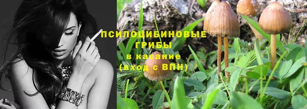 ешки Белокуриха