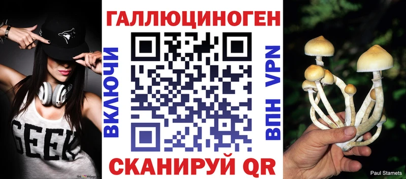 mega tor  Мезень  Галлюциногенные грибы Cubensis 